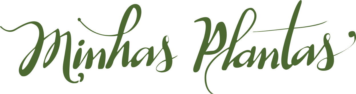 minhas plantas 1